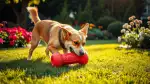 Zahnstein beim Hund