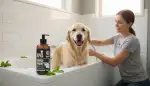 Hundegeruch entfernen: Spezialshampoo hilft