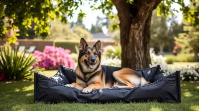 Outdoor-taugliche Hundebetten für Abenteurer