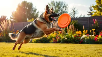 Robustes Hundespielzeug für draußen