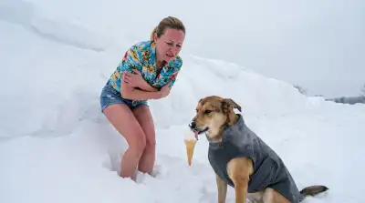Die 8 besten Winter-Hundekleidung im Vergleich (Oktober 2026)