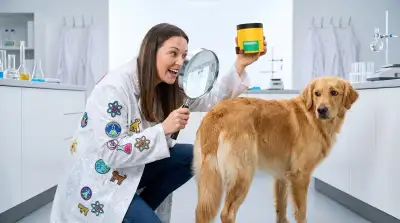 Die 8 besten Hunde-Probiotika im Vergleich (Oktober 2026)