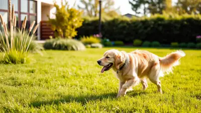 Zeckenschutz für Hunde: Effektive Vorbeugung