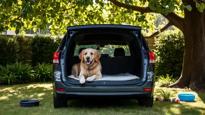 Sicherer Hundetransport im Auto