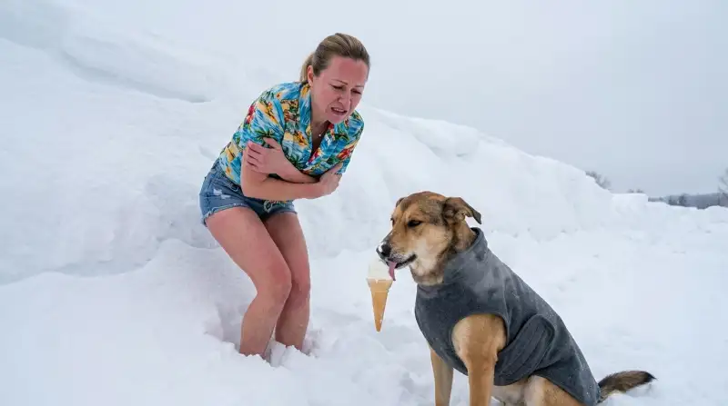 Die 8 besten Winter-Hundekleidung im Vergleich (Oktober 2026)