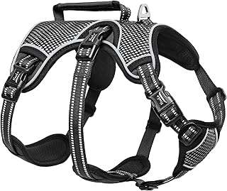 HEELE Hundegeschirr, Ausbruchsicher, Schnalle im Halsbereich, Reflektierend, Brustgeschirr mit Ro…
