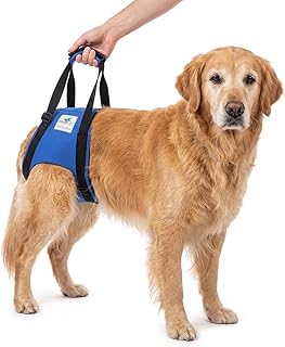 Nature Pet © – Tragehilfe Hund hinten – Verstellbarer Hunde Tragegurt als Treppenhilfe – Ideal f…
