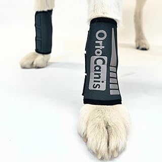 Ortocanis – Karpalgelenk-Bandage für Hund – Arthrose, Bänder- und Sehnenverletzungen oder Agili…