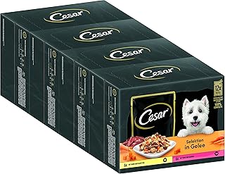 CESAR Adult Hundefutter nass – 4x12x100g Portionsbeutel – mit Huhn & Rind – Hundenassfutter in Ge…