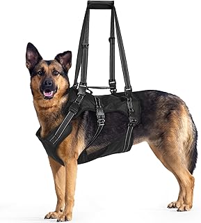 BENCMATE Hundegeschirr (Schwarz, L)