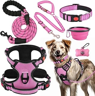 Anti-Zug Hundegeschirr Set mit Halsband & Leine | Inkl. Auto Sicherheitsgurt, Faltbare Näpfe & K…