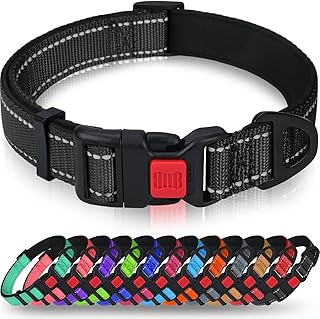 Taglory Hundehalsband, Weich Gepolstertes Neopren Nylon Hunde Halsband für Mittlere Hunde, Verst…