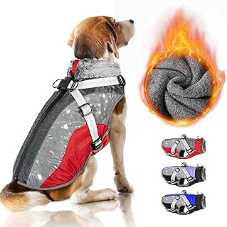 Nasjac Winter Hundemantel mit abnehmbarem Geschirr, wasserdichte Fleece warm hundejacke für klei…