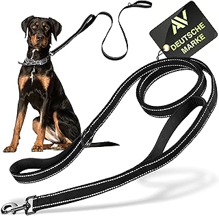 AVANA Hundeleine mit integriertem Kurzführer reflektierende Leine | 2 handschonende gepolsterte …