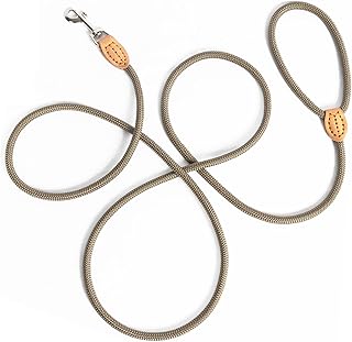 Tauleine Hund – Nylon Hundeleine für kleine, mittelgroße & große Hunde – hundeleine leicht…