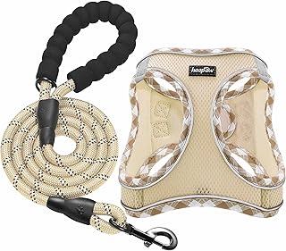 haapaw Hundegeschirr und Leine Set, kein Ziehen, verstellbares, reflektierendes Step-in-Welpenges…