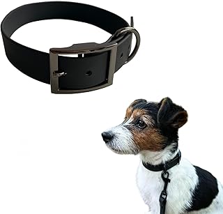 Premium Hundehalsband, schwarz – Kleine & mittelgroße Hunde (S) – Halsband Hund klein – Verstell…