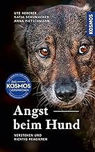 Angst beim Hund: Erkennen, verstehen und richtig reagieren