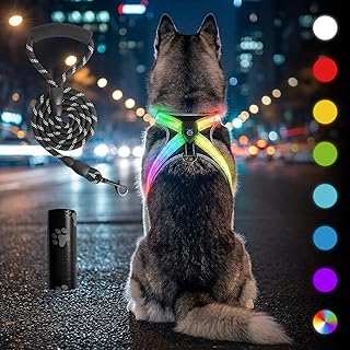 LED Grau Leuchtgeschirr für Hunde – Hundegeschirr Leuchtend mit 1.5m Hundeleine und eine Rolle M…