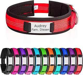 Hundehalsbänder mit Metallschnalle Reflektierende Hundehalsband mit Namensplakette Personalisier…