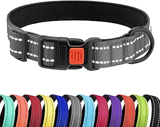 CollarDirect Reflektierendes Hundehalsband für kleinen, mittelgroßen, großen Hund, Welpen mit …