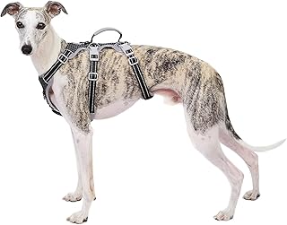 Huntboo Hunde Sicherheitsgeschirr, Rutschfestes Hundegeschirr Escape Proof, Reflektierendes Gesch…