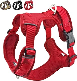 funPETic Hundegeschirr Essential – Anti-Zug Geschirr, reflektierend, gepolstert und atmungsaktiv …