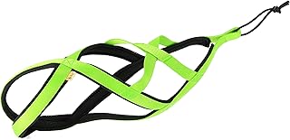Dingo Hundegeschirre Sled Farbe Grün Zuggeschirr Canicross Bike-Ski-Jöring Training Dogtrekking…