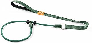 Howgo Hundeleine mit Schlupfleine, Trainingsleine, Anti-Zug-Leine und Halsband, strapazierfähige…