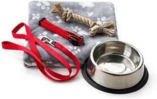 Hunde Starter Set – Leine, Halsband, Edelstahlnapf, Spielzeug & Decke – Erstausstattung für …