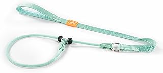 Howgo Hundeleine mit Schlupfleine, Trainingsleine, Anti-Zug-Leine und Halsband, strapazierfähige…