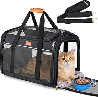Morpilot Transportbox für große Katzen, Katzen & Welpen bis 12 kg, zusammenklappbar Katzentrans…