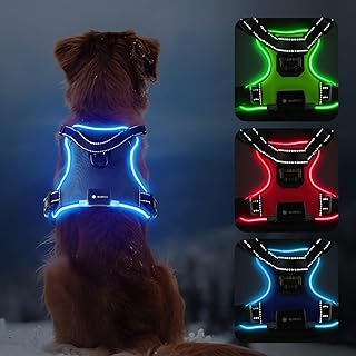 MASBRILL LED-Hundegeschirr, kein Ziehen, wiederaufladbar, reflektierend, für Größen S bis L