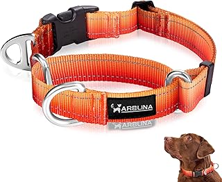 Arblina Martingale Hundehalsband, Reflektierendes Zugstopp Halsband Hunde für Große Mittlere un…