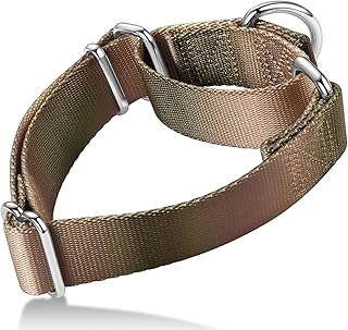 Martingale-Halsband für Hunde – Bunter Farbverlauf, Modisches Design & Ausbruchsicher – Weic…