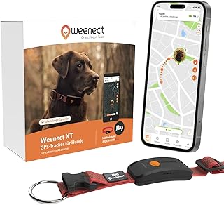 Weenect Hund XT – NEUES GPS-Halsband für Hunde | XL-Antenne | Wasserdicht | Hyperresistentes int…