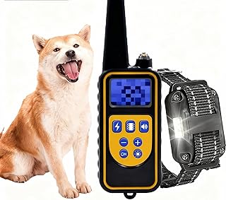 Hunde-Halsband,Hundehalsbänder,Klassisches,Hundehalsband, Hundehalsband Hund Neuheit,längenvers…