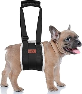 Verstellbarer Hunde Tragehilfe, Tragbarer Tragegurt zur Rehabilitation von kleine Hunden – Gehhil…