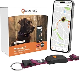 Weenect Hund XT – NEUES GPS-Halsband für Hunde | XL-Antenne | Wasserdicht | Hyperresistentes int…