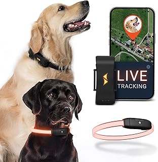 PAJ GPS – LED Leuchthalsband + GPS Tracker für Hunde, doppelte Sicherheit, weltweite Live-Ortung…