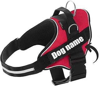 SUPER DOGGY Hundegeschirr personalisiert – Anti-Zug, reflektierend und sicher – Brustgeschirr…