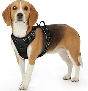 Eagloo Hundegeschirr Kleine Hunde, Anti Zug Hundegeschirr mit Reflexstreifen und Kontrolle, Verst…