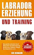 Labrador Erziehung und Training: Das große Labrador Buch – Alles über Hundeerziehung, Ernährun…