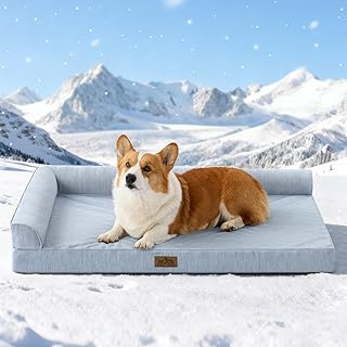 COZY KISS Kühlendes Hundebett Mittelgroße Hunde, Q-MAX>0.4 Orthopädisches Hundekorb mit Seiten…