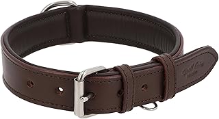 Gusti Hundehalsband Leder – Jacky Lederhalsband Hund Haustier Vierbeiner Größe M Dunkelbraun Leder