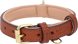 Gusti Hundehalsband Leder – Jacky Lederhalsband Hund Haustier Vierbeiner Größe S braun Leder
