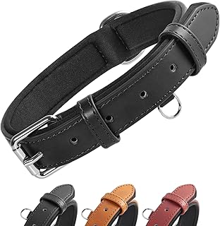 Grand Line Leder Hundehalsband, Lederhalsband Hund mit Weichem Gepolstertes, Breiter und Dicker H…