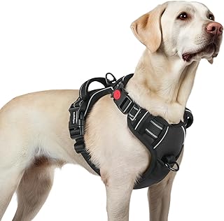 rabbitgoo Hundegeschirr Grosse Hunde, Verstellbare Geschirr Hund ohne Zug & Würgen, Anti Zug Hun…