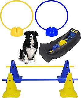 Agility Set für kleine Hunde & Welpen – Trainingsset mit Reifen, Hürden, X-Fuß & Tasche – …