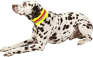 HEIM Signalhalsband für Hunde 28 cm